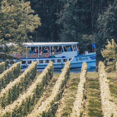 Croisière vers le vignoble Château Bon Baron